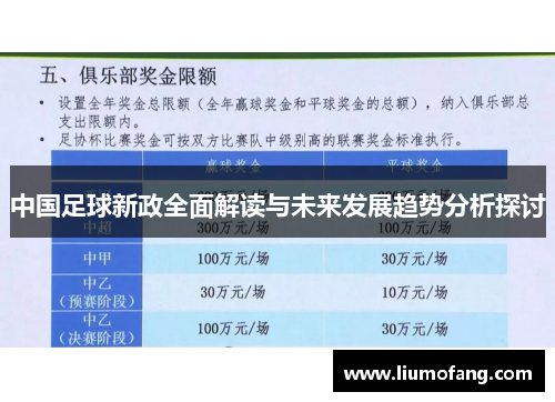 中国足球新政全面解读与未来发展趋势分析探讨